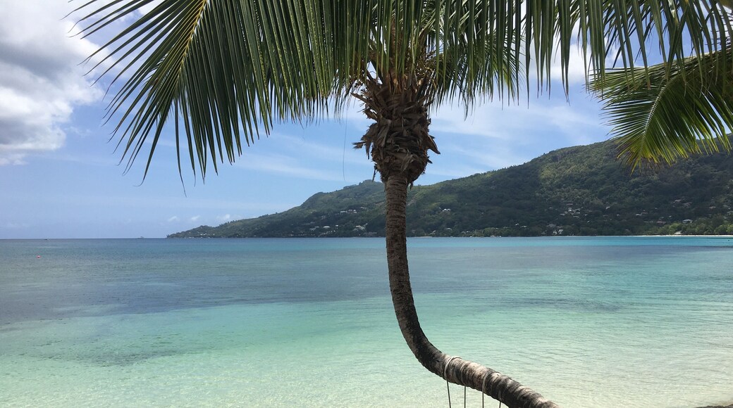 Beautiful Seychelles