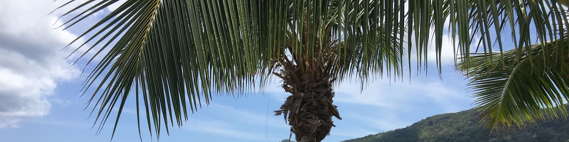 Beautiful Seychelles