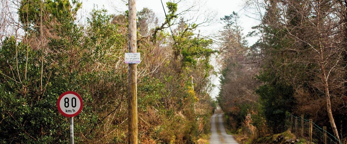A narrow rural road flanked by dense trees and a speed limit sign of 80 km/h.
