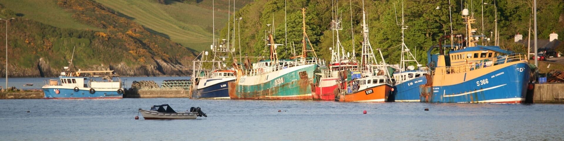 The small fishing village and harbour of Union Hall is located on the western side of sheltered Glandore Harbour, in west Cork. A small fishing village of 200 residents, the village is a popular holiday destination in July and August. Boat tours depart from here for whale watching; minke, humpback and fin whale are seen regularly.
