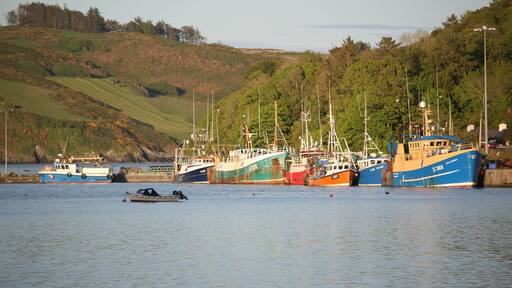 The small fishing village and harbour of Union Hall is located on the western side of sheltered Glandore Harbour, in west Cork. A small fishing village of 200 residents, the village is a popular holiday destination in July and August. Boat tours depart from here for whale watching; minke, humpback and fin whale are seen regularly.