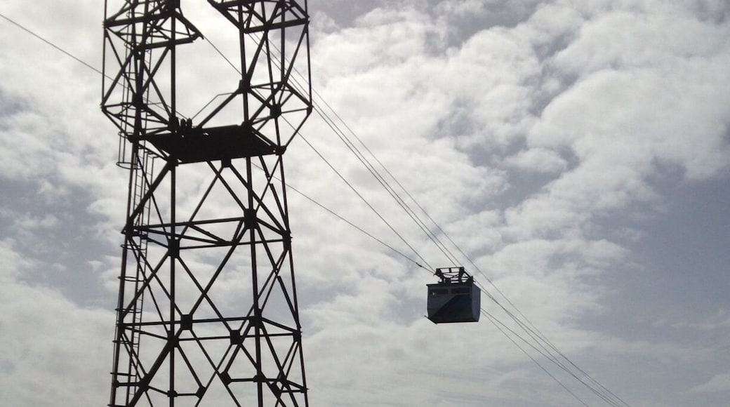 The only cable car in Ireland. Twelve minute ride in a little wooden car, get blown around by high winds on the way over. Oh, you may share the ride with sheep. That's how they get them to the Island. About ten permanent residents on Dursey Island.