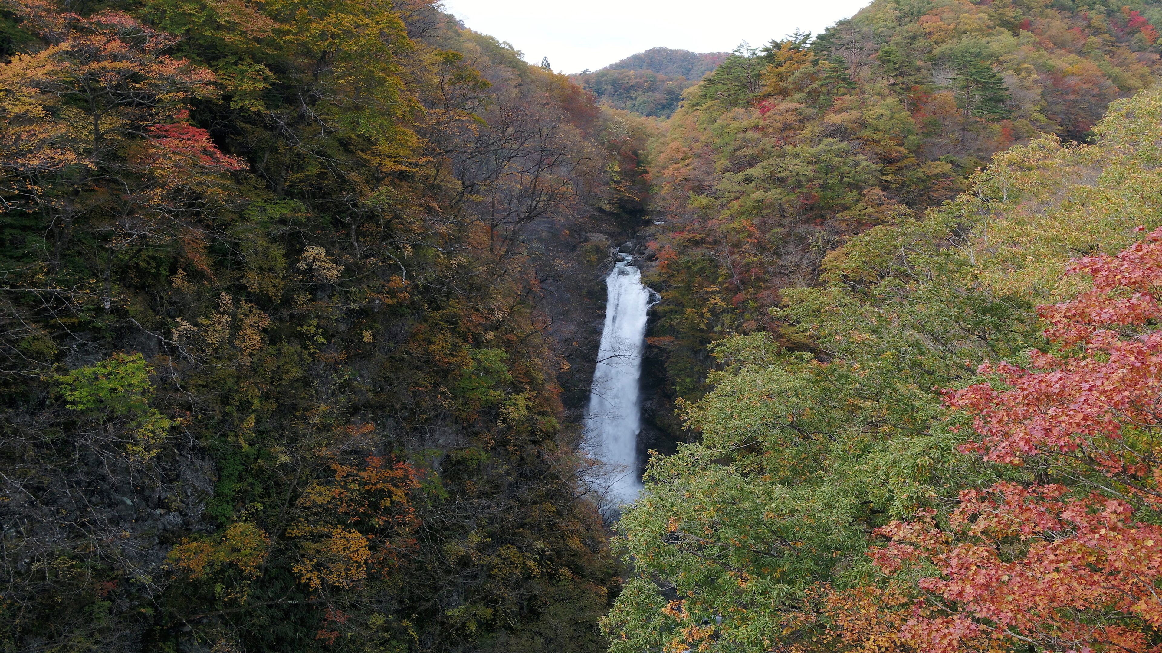 A waterfall surrounded by autumn foliage.