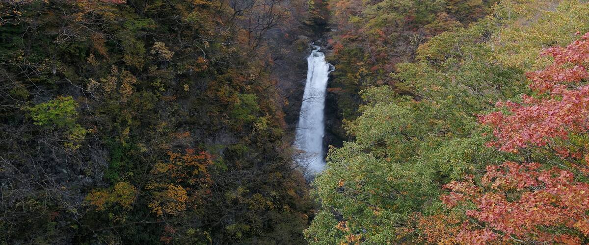 A waterfall surrounded by autumn foliage.