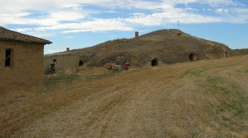 Moratinos - Curiosas bodegas situadas en la falda de una pequeña loma.