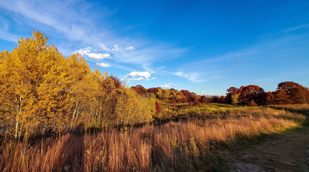 Minnesota Fall Colors from the Lebanon Hills Regional Park in Eagan, Minnesota.