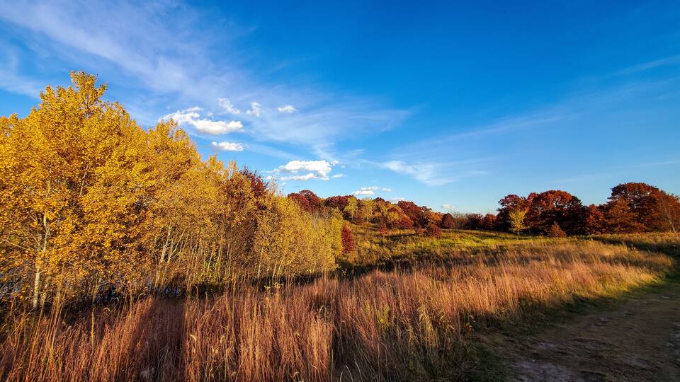A landscape with autumn foliage, a clear blue sky, and a dirt path.