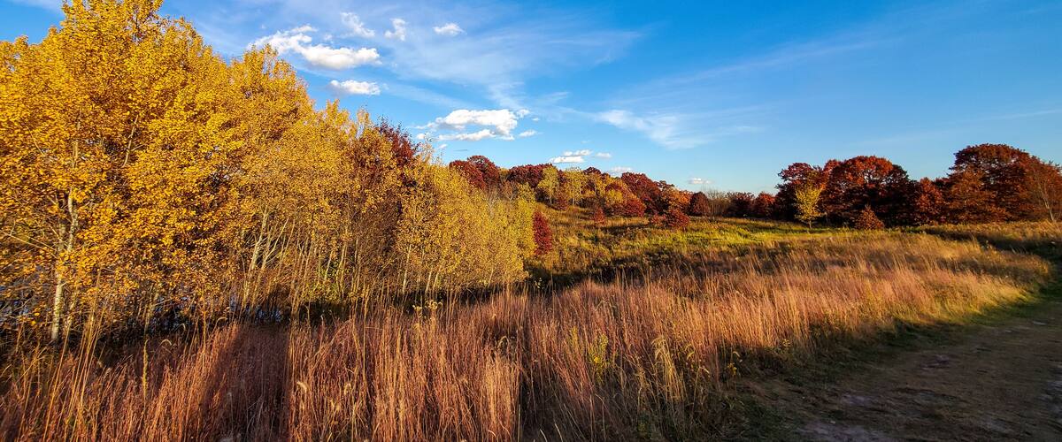 A landscape with autumn foliage, a clear blue sky, and a dirt path.