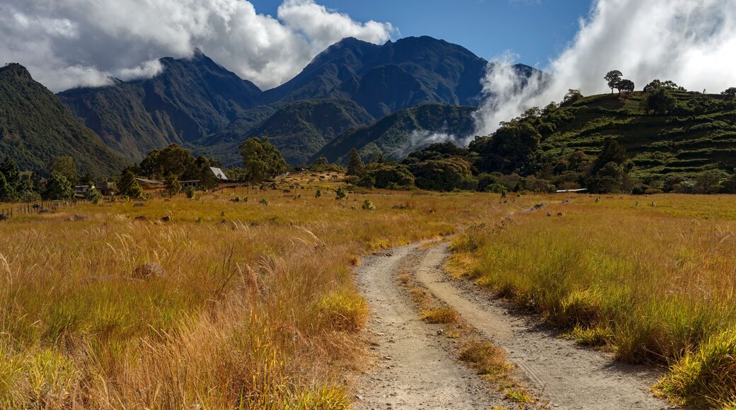 Volcan Barú, Chiriqui Province in Panama