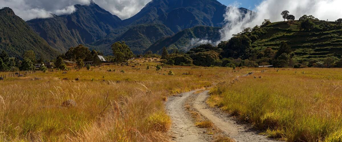 A dirt path leading through a grassy field with mountains in the background.