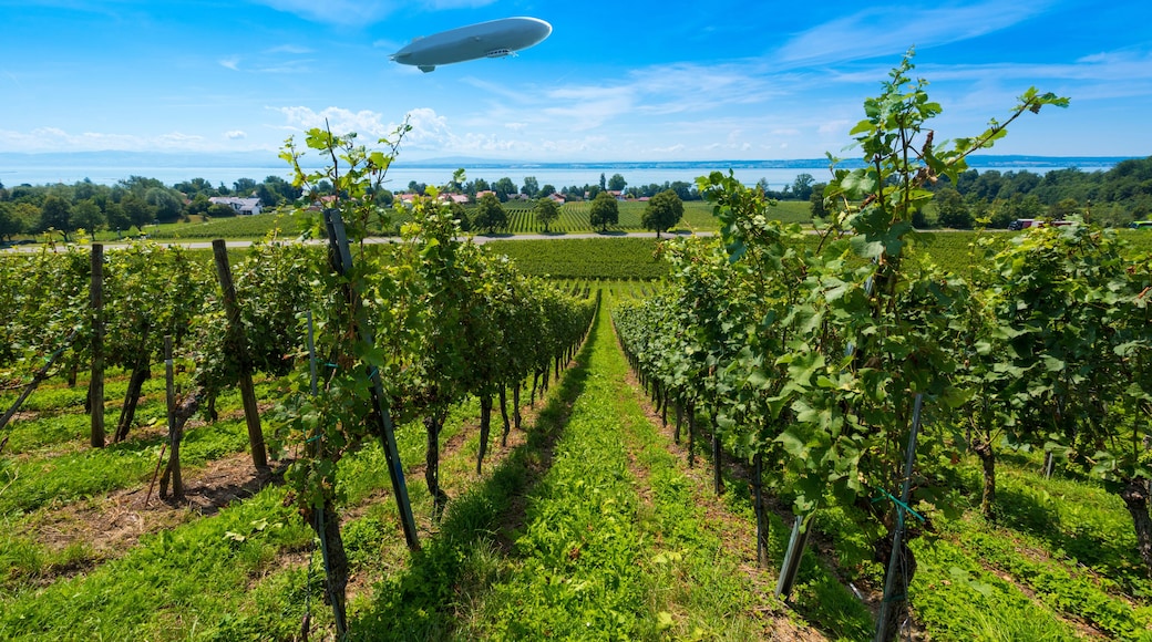 Immenstaad am Bodensee