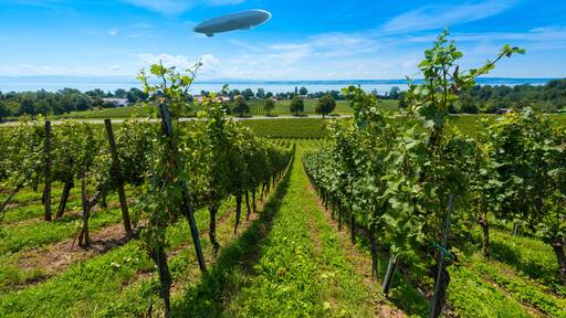 Immenstaad am Bodensee