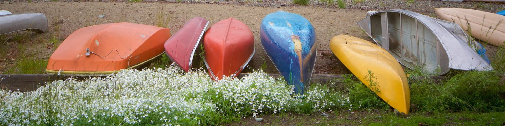 Kaslo mostrando un lago o abrevadero