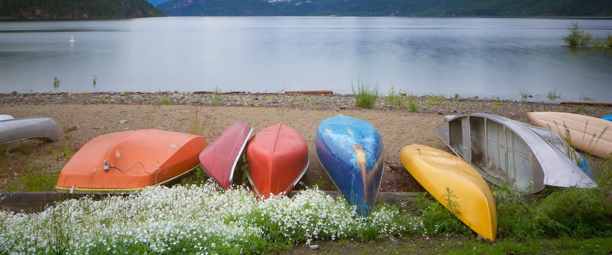 A row of colorful kayaks lined up on a lakeshore with mountains in the background.