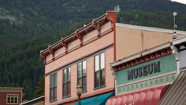 Kaslo featuring heritage elements and signage