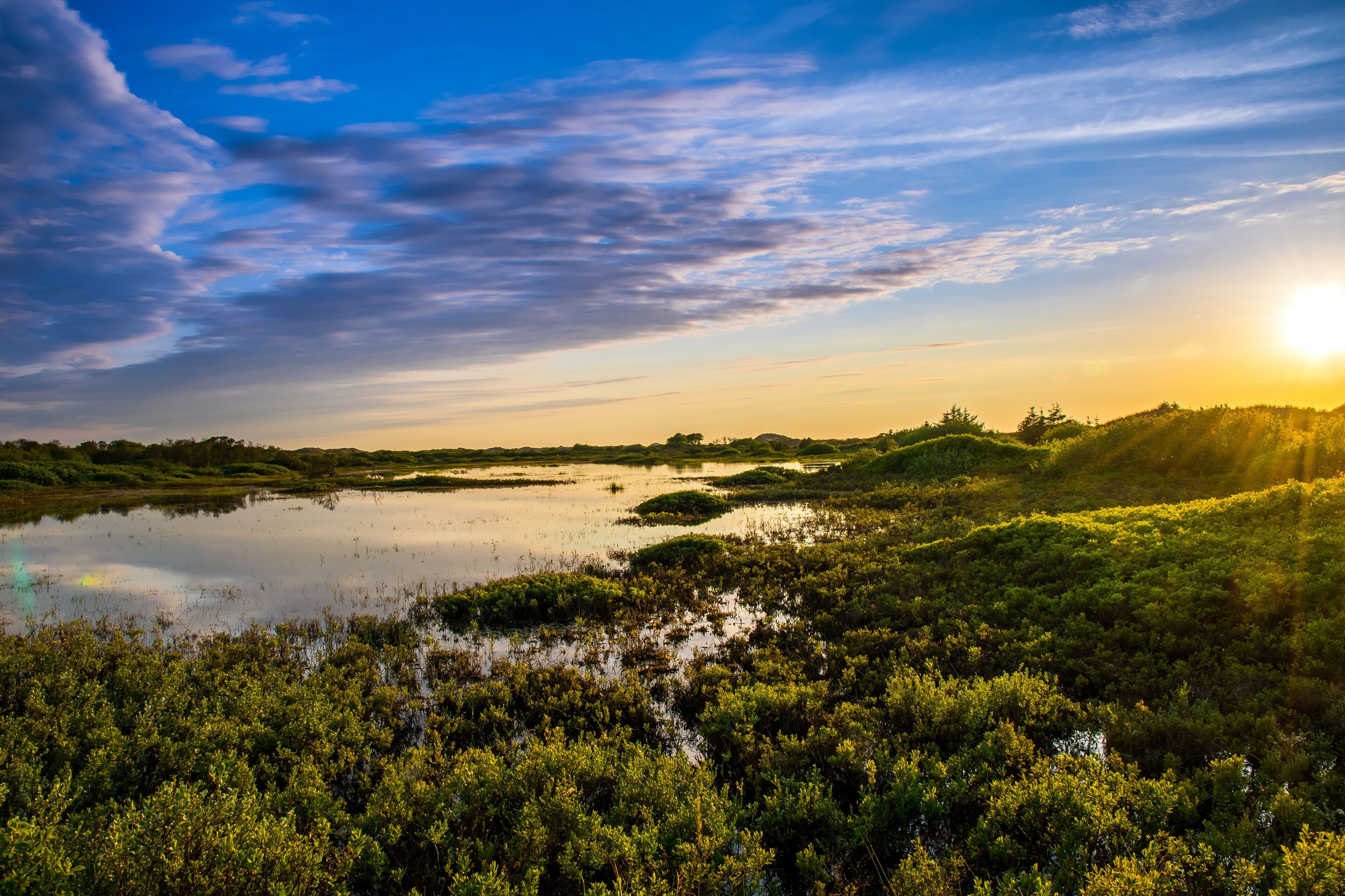 A sunset over a marshy landscape with water and dense vegetation.