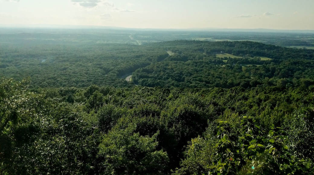 Looking West from Bears Den, route 7 winds its way toward Winchester, VA. This was from a recent #Adventure section hiking the Appalachian Trail.