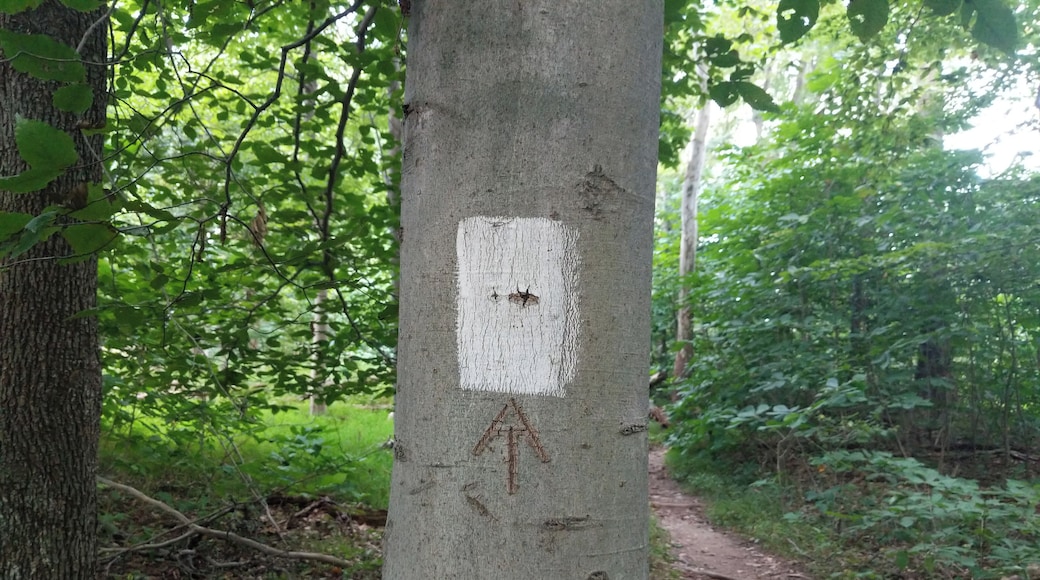 Every hiker knows that the white blazes of the Appalachian Trail are a signpost for #adventure.