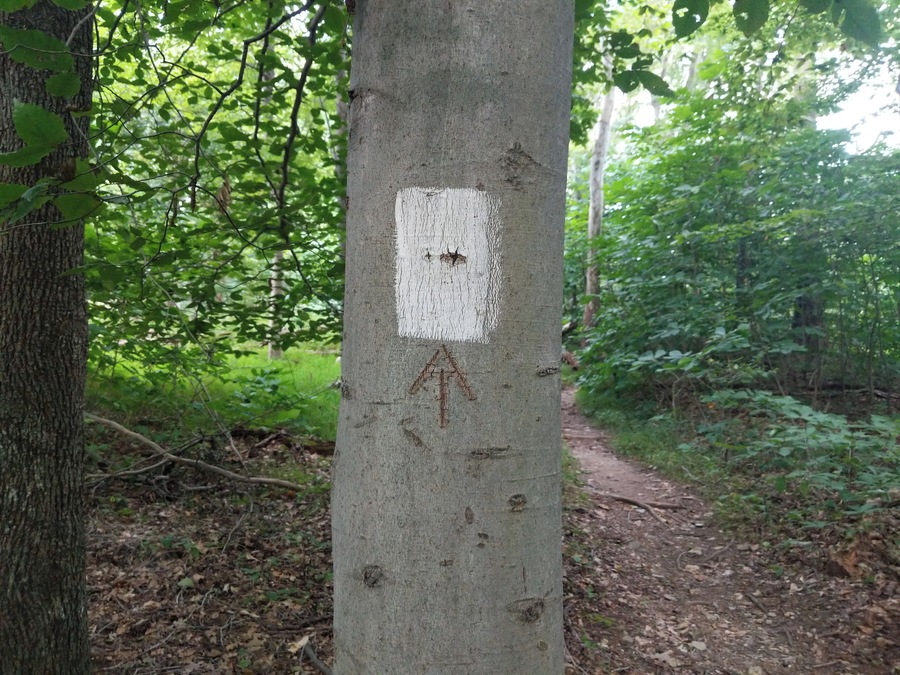 Every hiker knows that the white blazes of the Appalachian Trail are a signpost for #adventure.