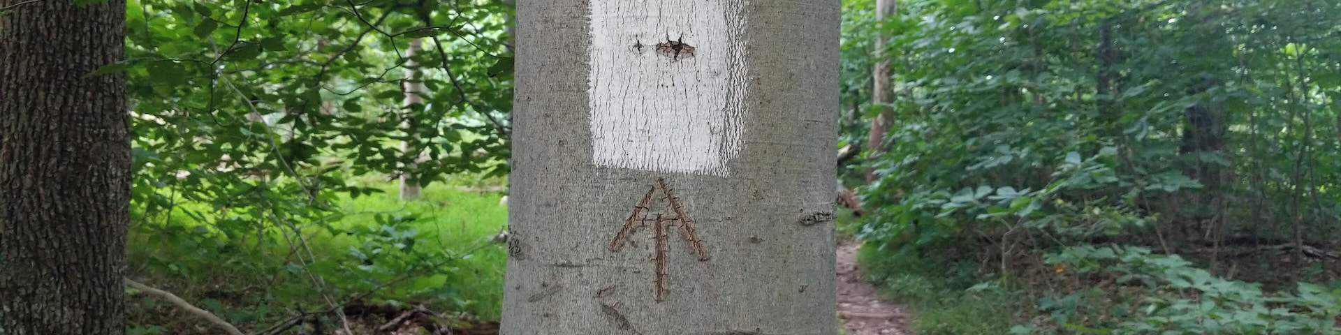 Every hiker knows that the white blazes of the Appalachian Trail are a signpost for #adventure.