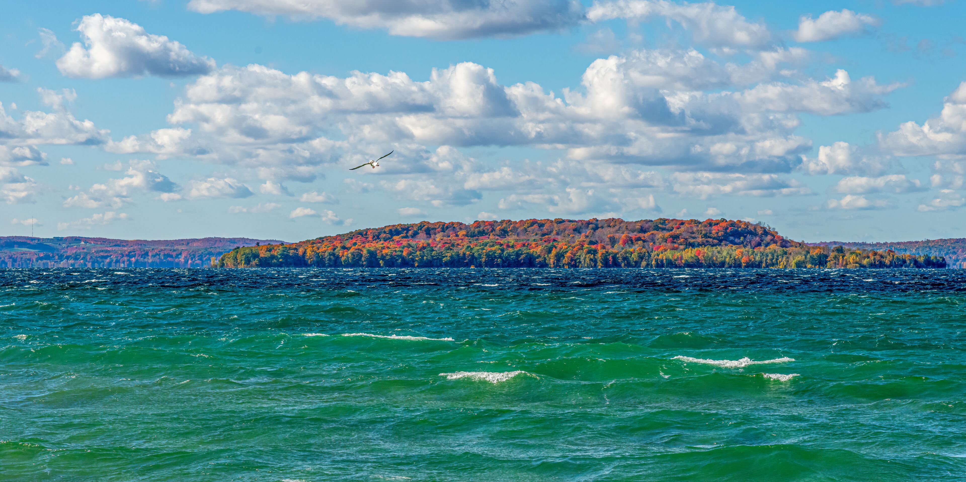 A body of water with a forested island in the distance.