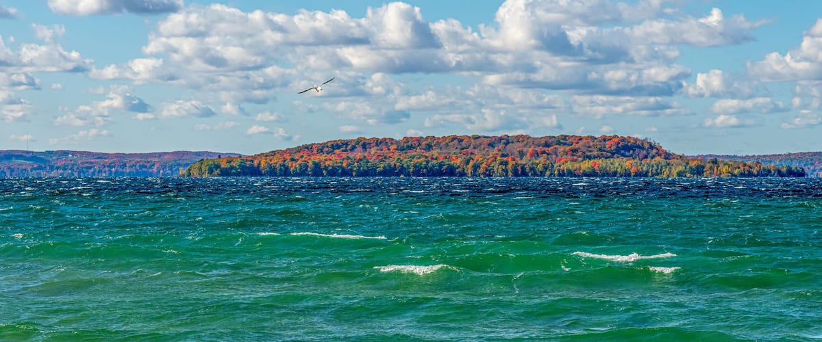 A body of water with a forested island in the distance.