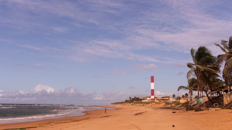 A beach with a lighthouse, palm trees, and ocean waves.