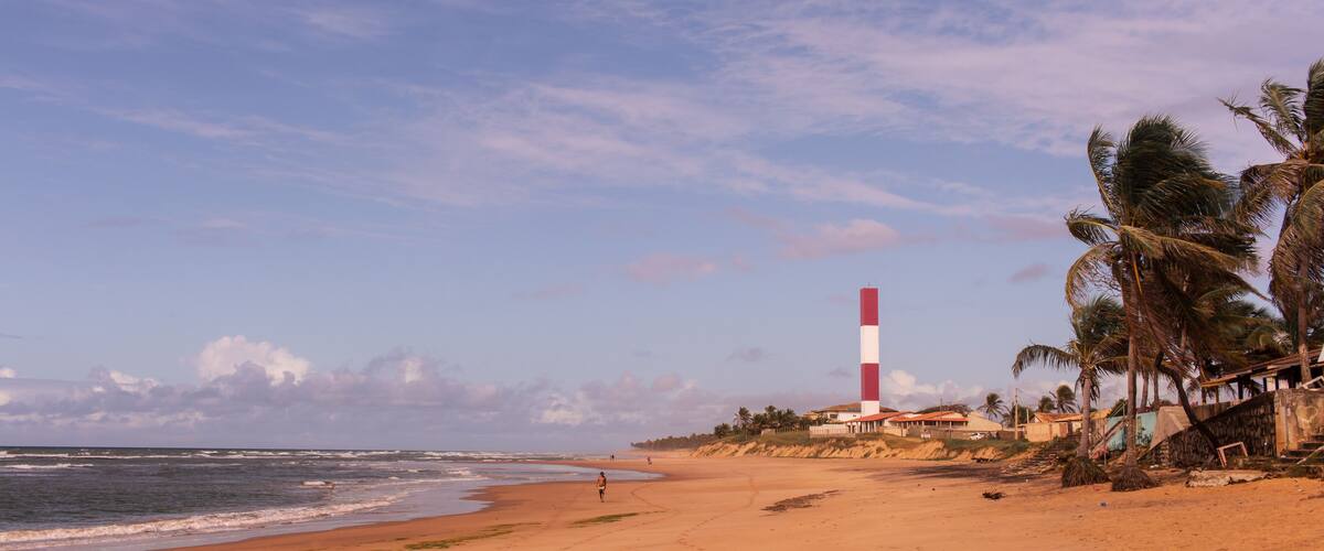 A beach with a lighthouse, palm trees, and ocean waves.