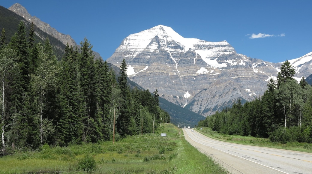 Mount robson