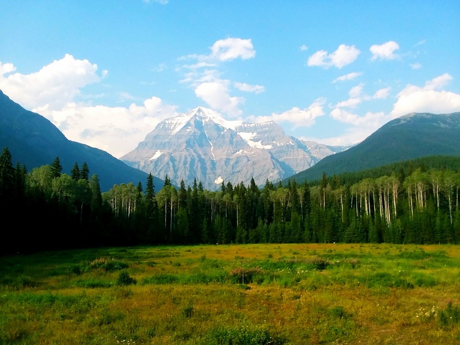 This was taken right behind the Mount Robson visitor centre. You don't have to go far to find some pretty cool things in nature!!🐾🌲 #Adventure