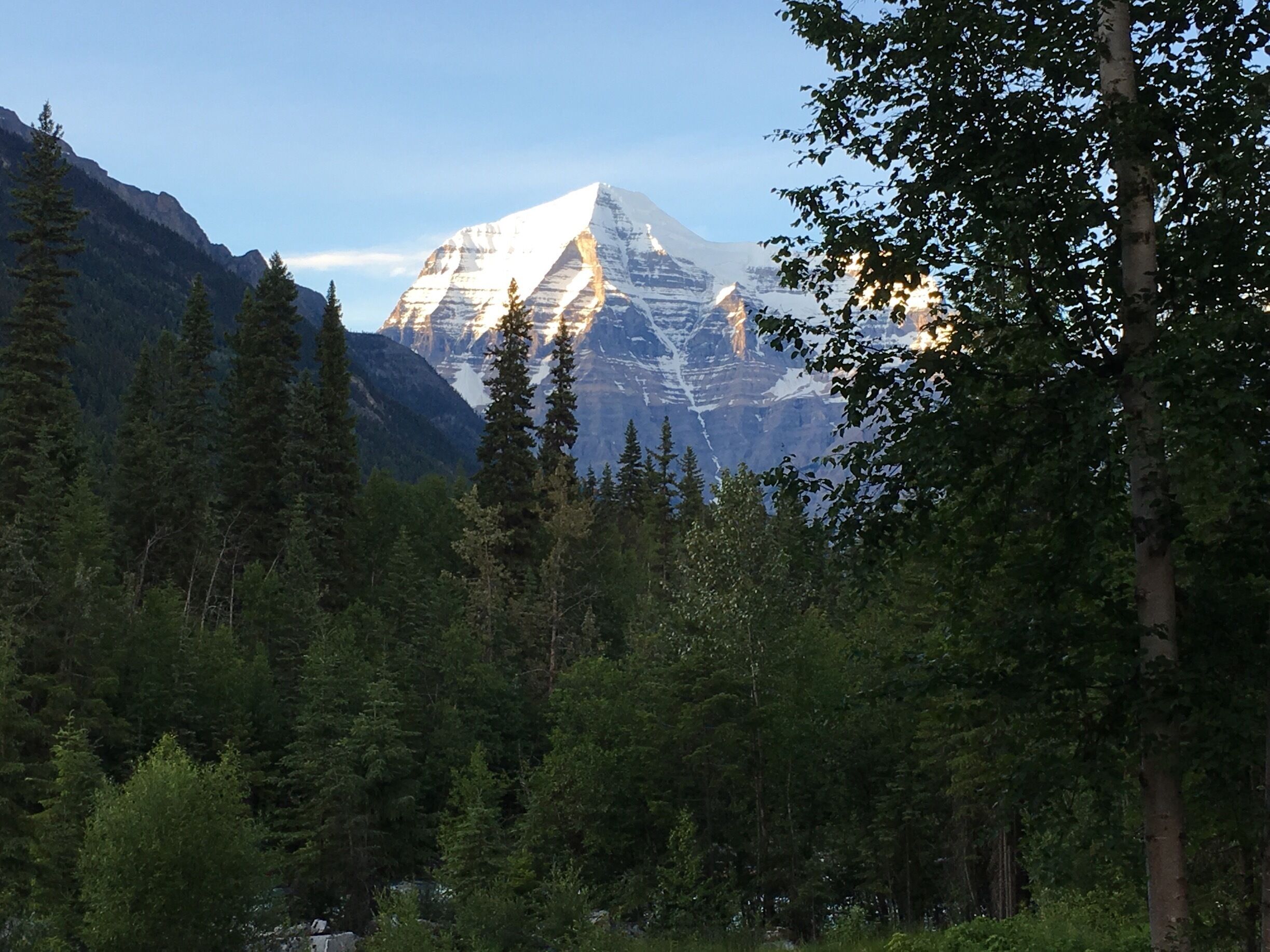 Mount Robson in the evening always has an Alpine glow that makes it even more amazing.  

This is taken from the yard at Resplendent Carriage House vacation rental. 