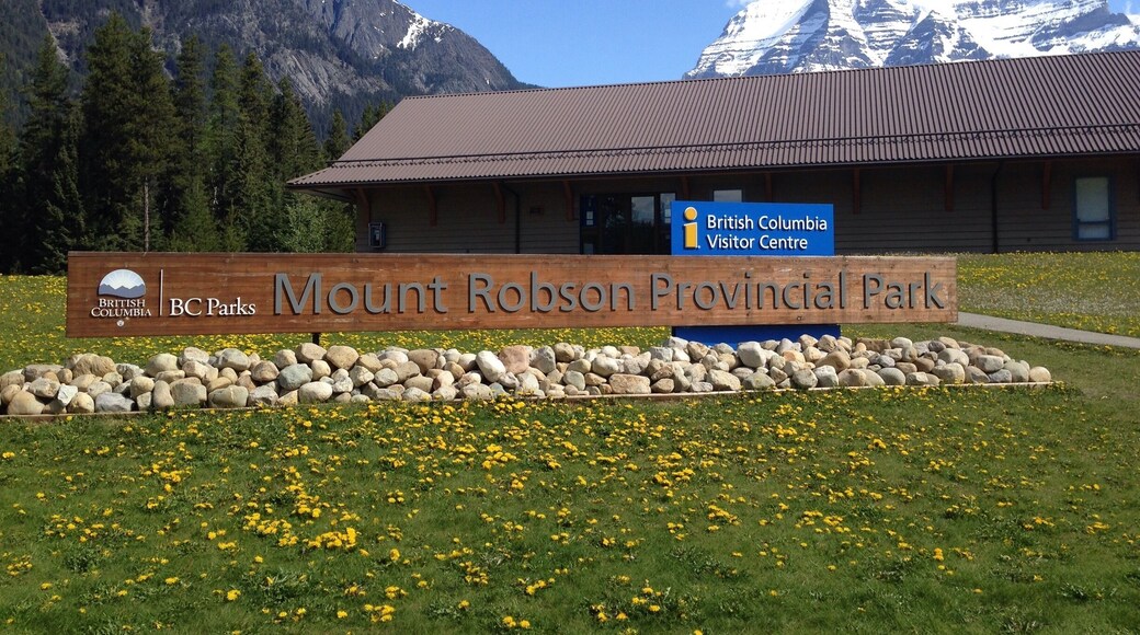 So my journey started in Kamloops, then drove down towards Radium Hot Springs where I entered Kootenay National Park. I stayed at Kootenay Lodge for the night. Continued north then south to Banff, then north towards Jasper. I stayed the night in Hinton because the hotels there were more than $200 cheaper than staying in Jasper. The next day I drove back through Jasper to catch the highway going west. I drove through Mount Robson Provincial Park , continued west to Valemont then south to Wells Grey Provincial Park where I visited Helmckin Falls, then back to Kamloops. About 1,900 KM later I was ready to not be driving, but it was worth every penny! I left on a Saturday morning at 6AM and returned by Monday at 5 PM if anyone decides to take this journey themselves. My focal points were Radium Hot Springs Pool, Banff Upper Hot Springs, Miette Hot Springs, Lake Louise, and Helmcken Falls. Plus stopped off to eat and shop at every major town along the way.