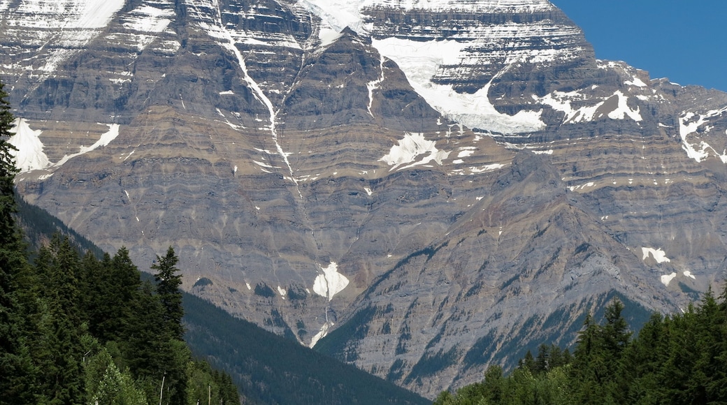 Mount robson