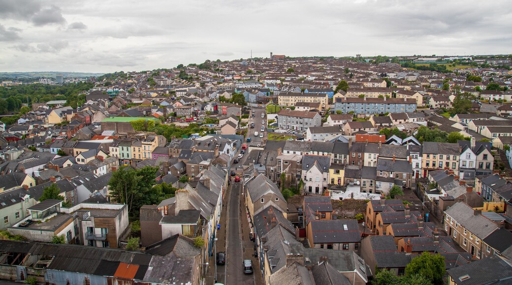 Shandon showing a city and landscape views
