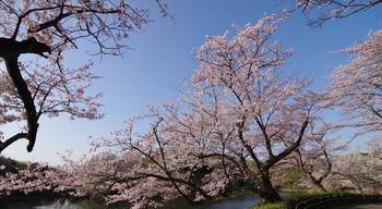 500px provided description: