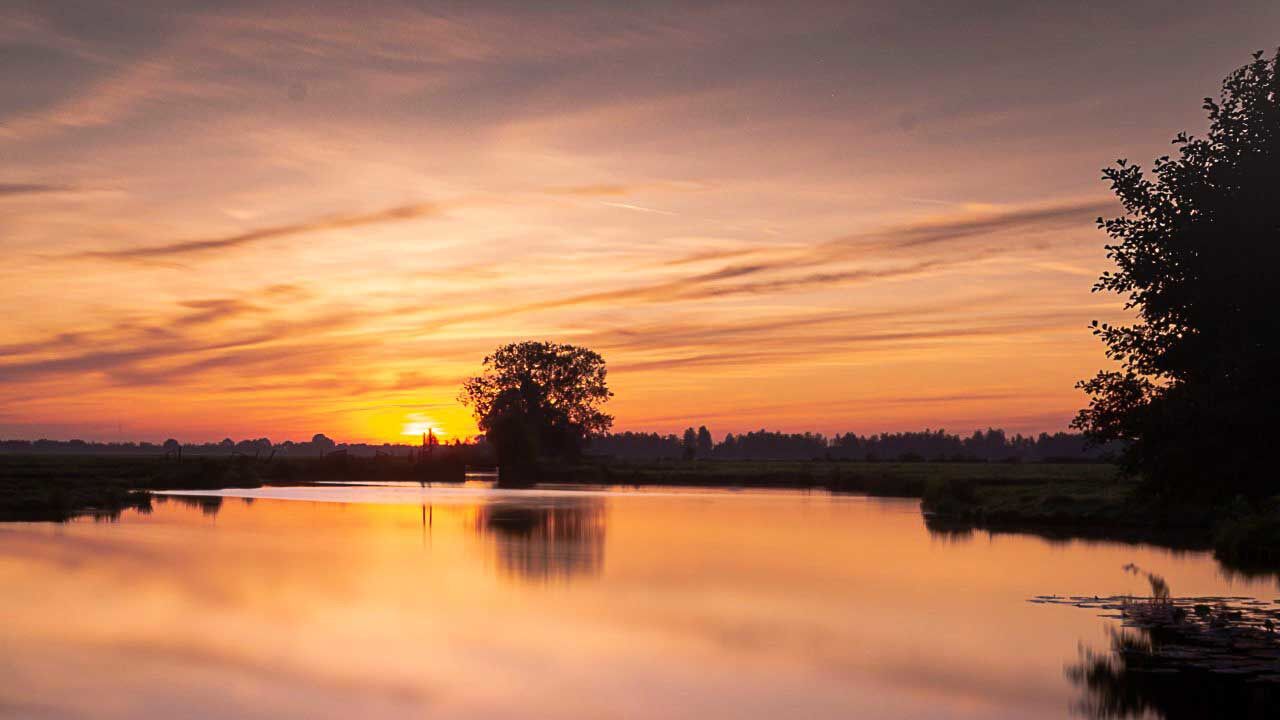 A sunset over a calm lake with a tree silhouette and a distant horizon.