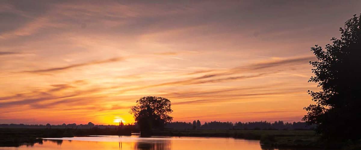 A sunset over a calm lake with a tree silhouette and a distant horizon.