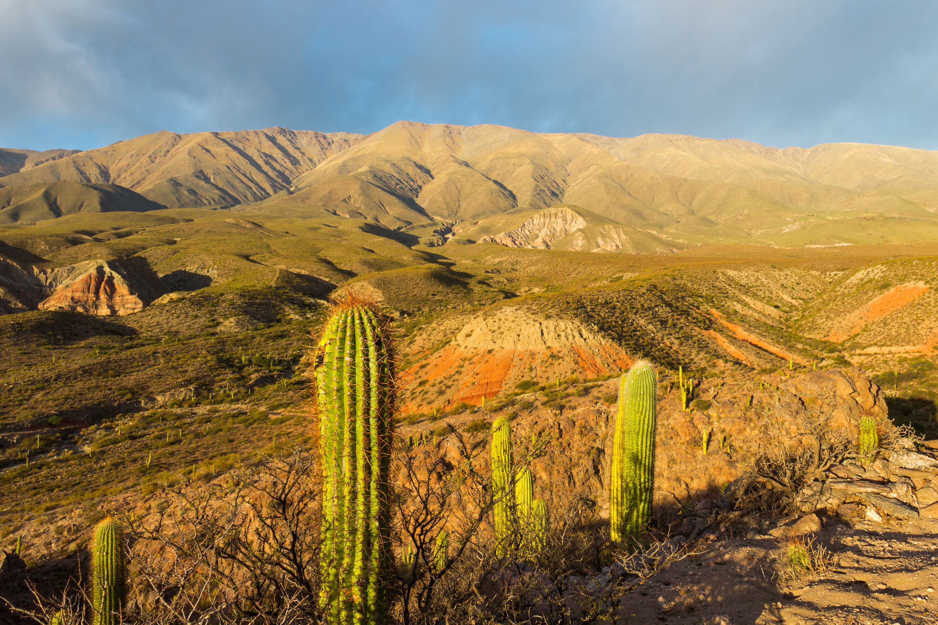 Ruinas Amaicha- Amaicha del Valle, Tucumán Argentina