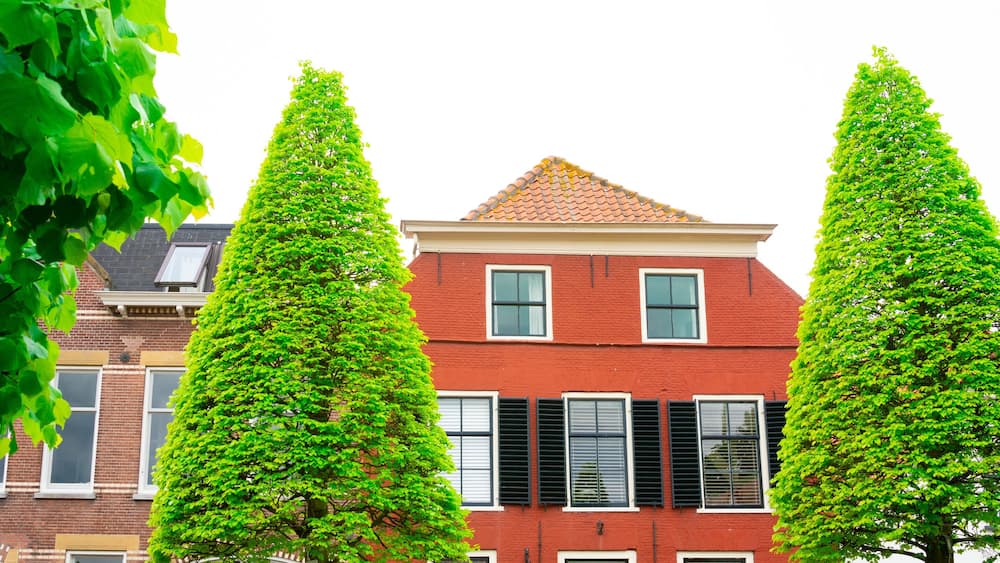 orange house with shutters in Maasland, The Netherlands