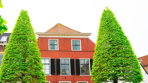 orange house with shutters in Maasland, The Netherlands