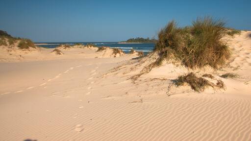 Sand dunes - view from Lake Conjola to Pacific ocean, NSW, Australia, Shutterstock ID 283304927, Purchase Order: -