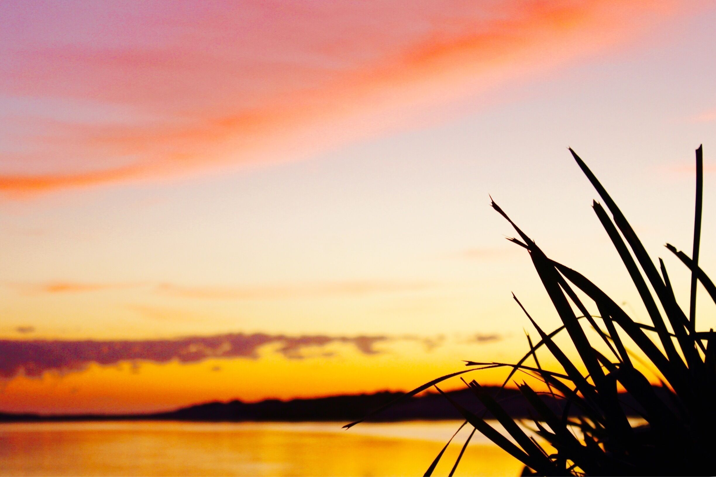 Looking out over the lake at the sunrise!