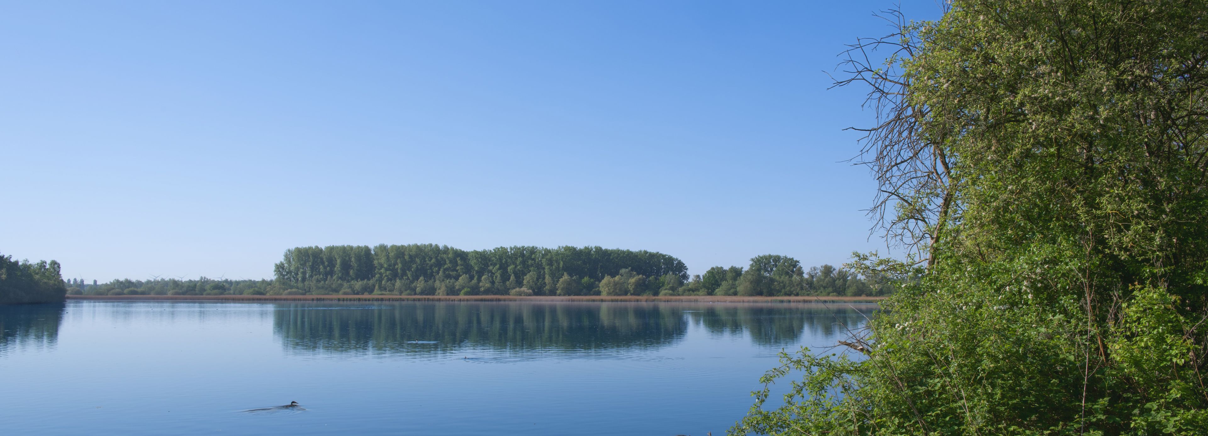 Een kalm meer met een heldere weerspiegeling van de lucht en bomen, omgeven door weelderige begroeiing.