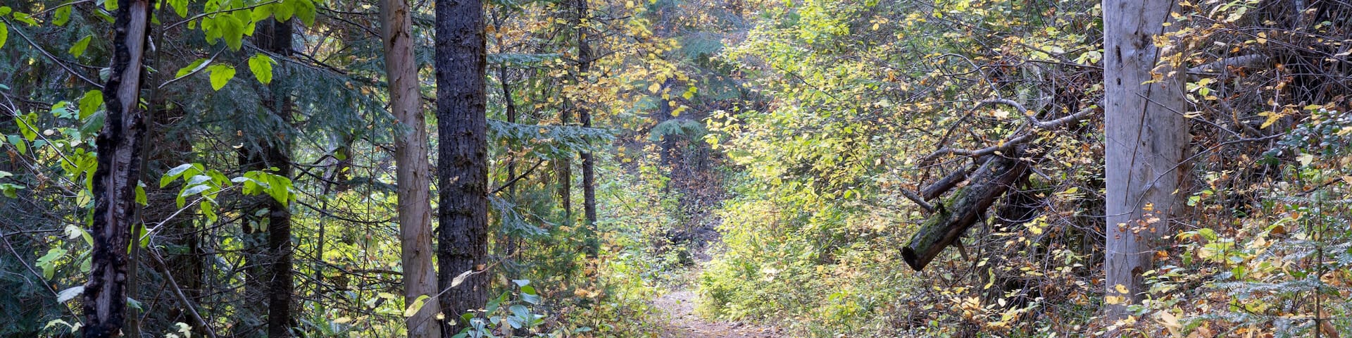 Pulaski Tunnel Trail