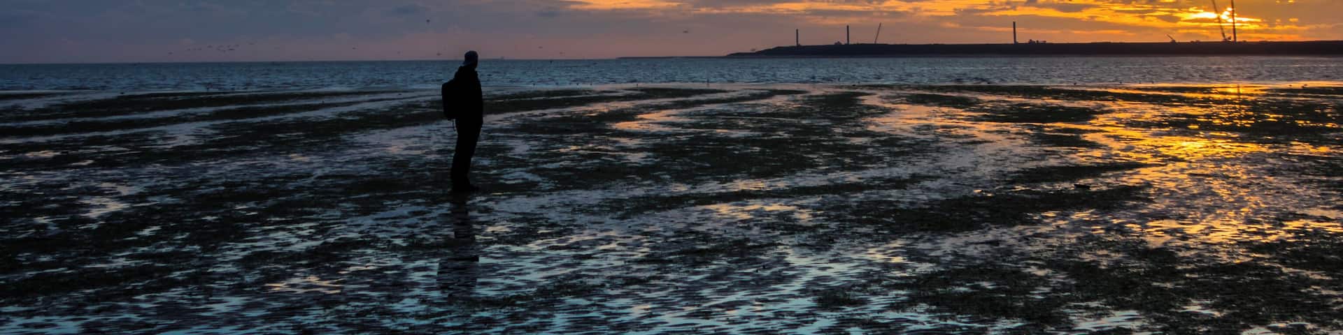 Blue daybat the beach
#BVSblue #beach #notsolongexposureselfie