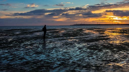 Blue daybat the beach
#BVSblue #beach #notsolongexposureselfie