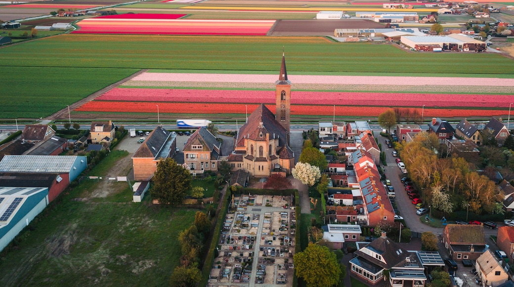's-Gravenzande
