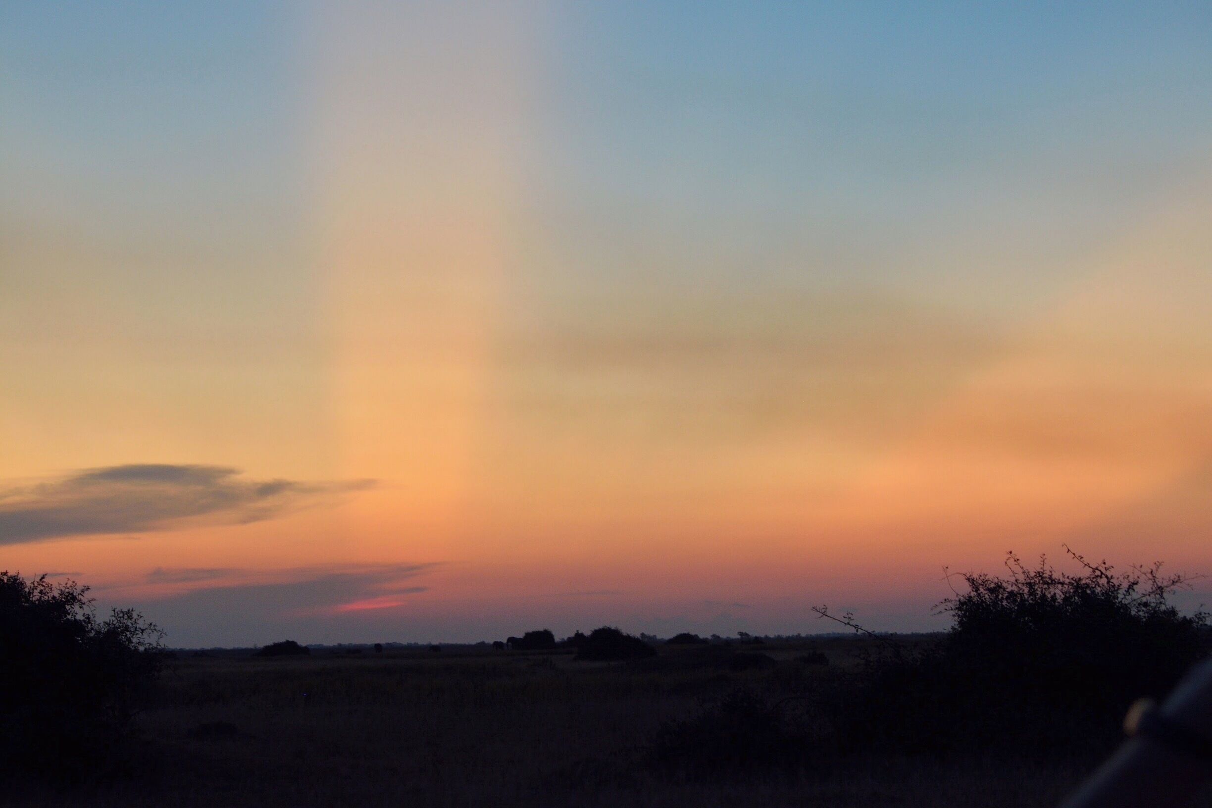 #GoldenHour Duba Plains, Botswana 