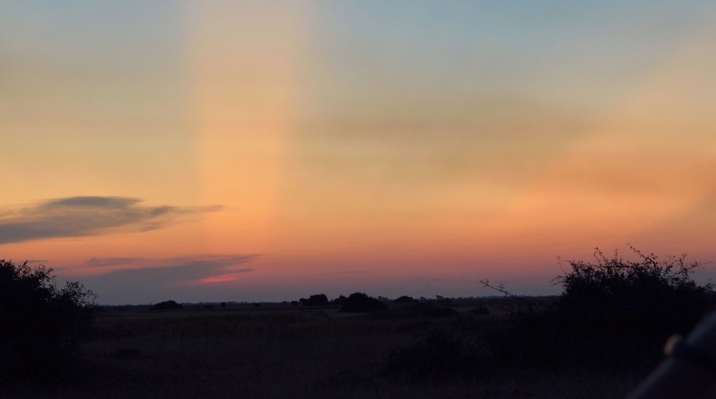 #GoldenHour Duba Plains, Botswana