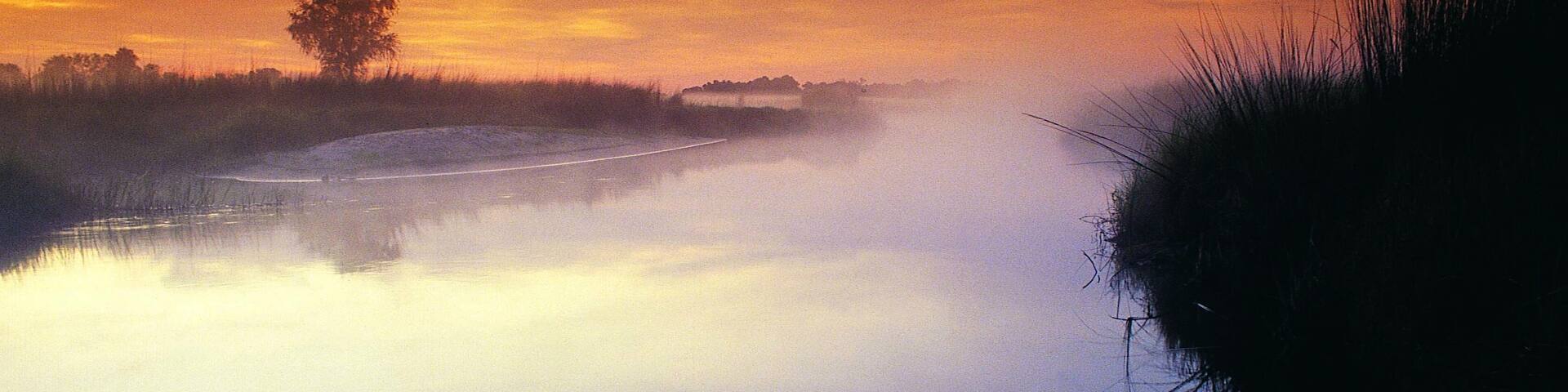 Okavango Delta Sunrise, Botswana